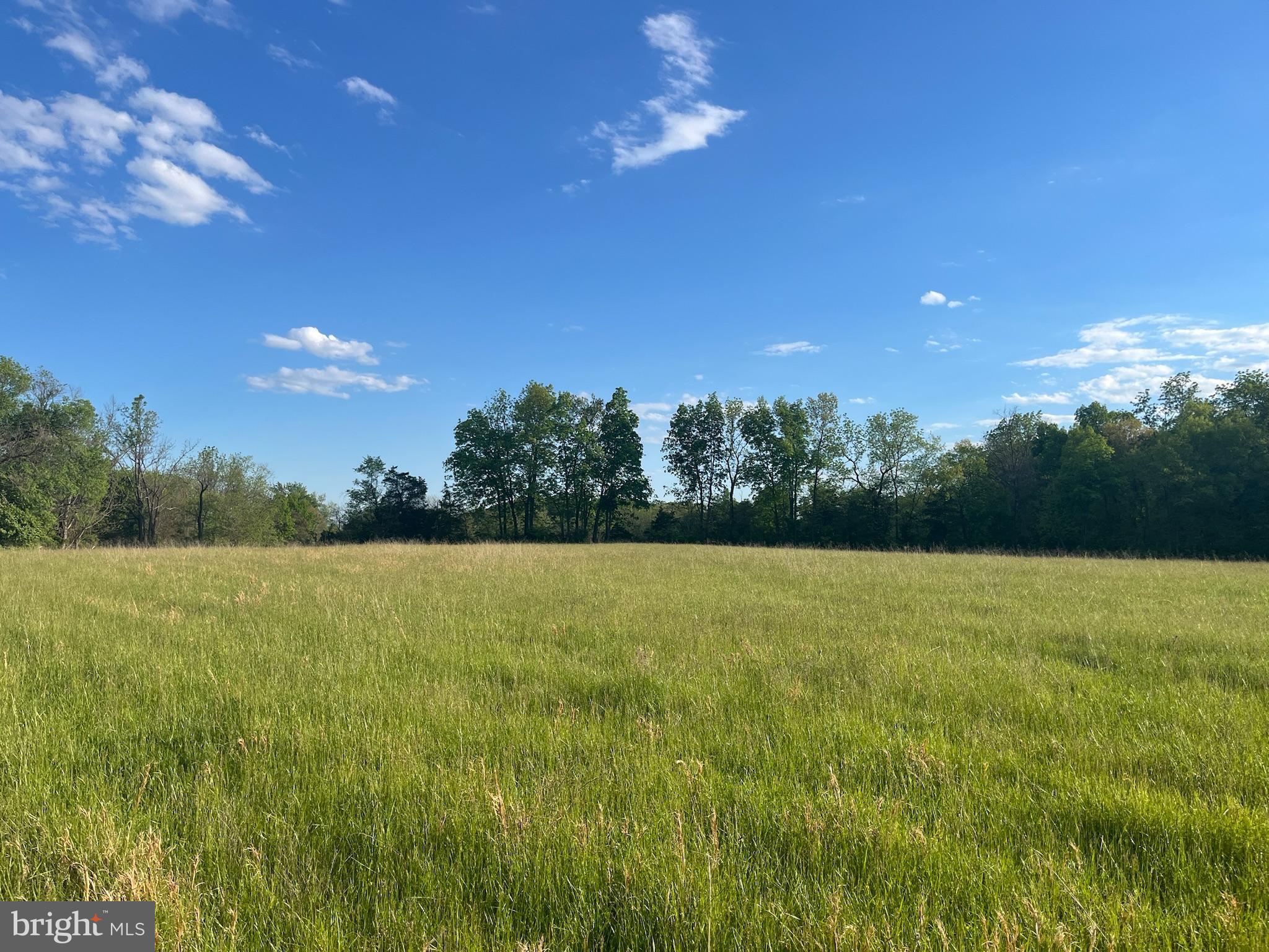 TANEYTOWN ROAD