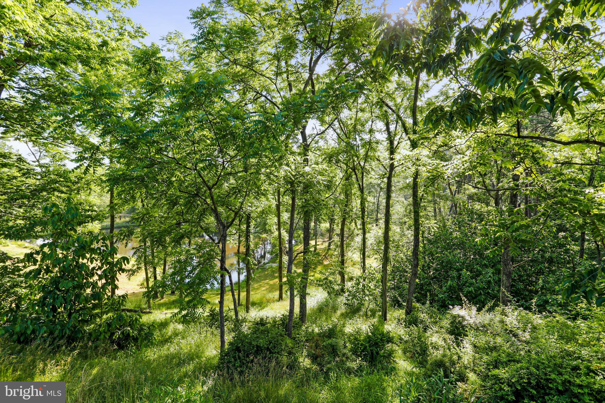 RIVER RIDGE - Residential