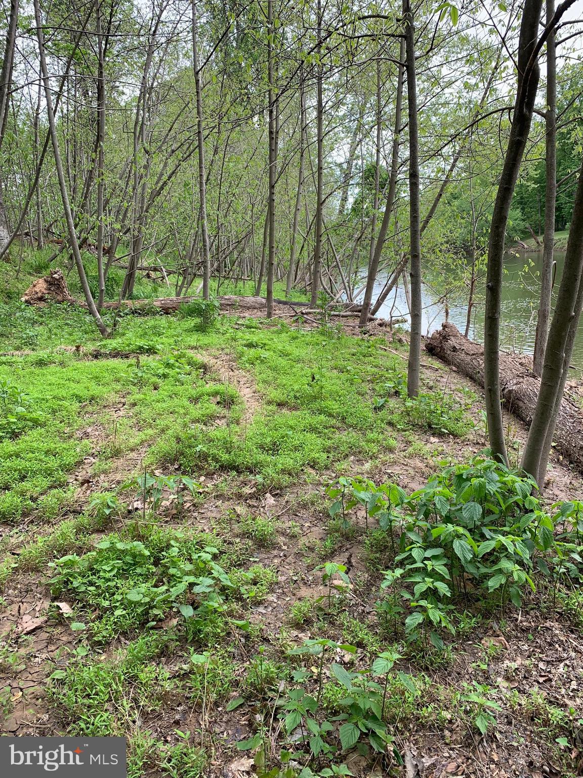 RIVER RIDGE - Residential