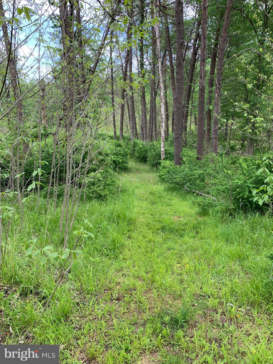 RIVER RIDGE - Residential