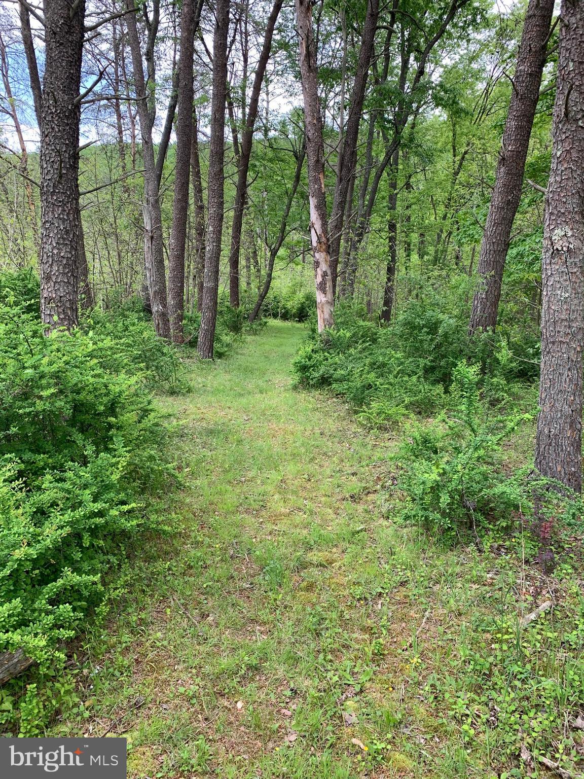 RIVER RIDGE - Residential