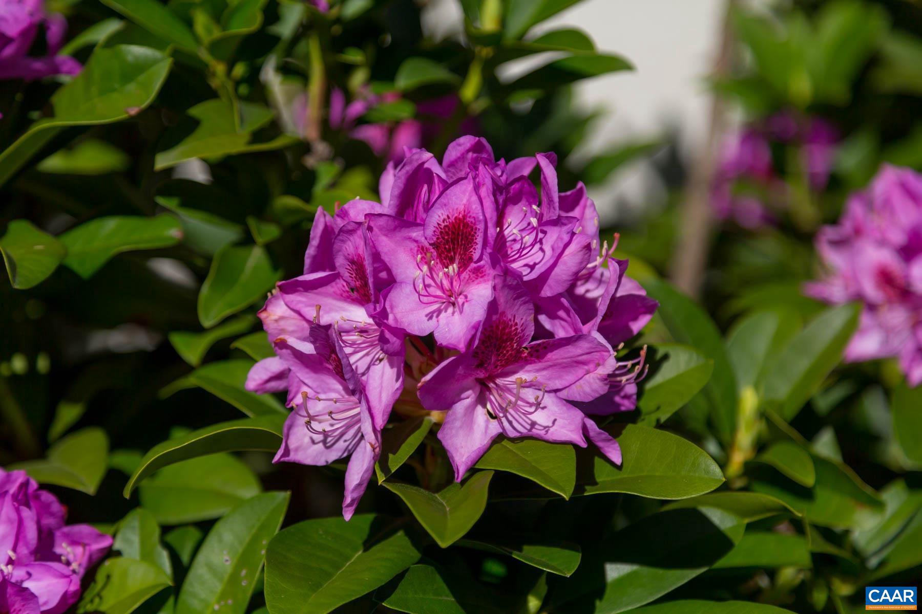 KESWICK ESTATE - Residential