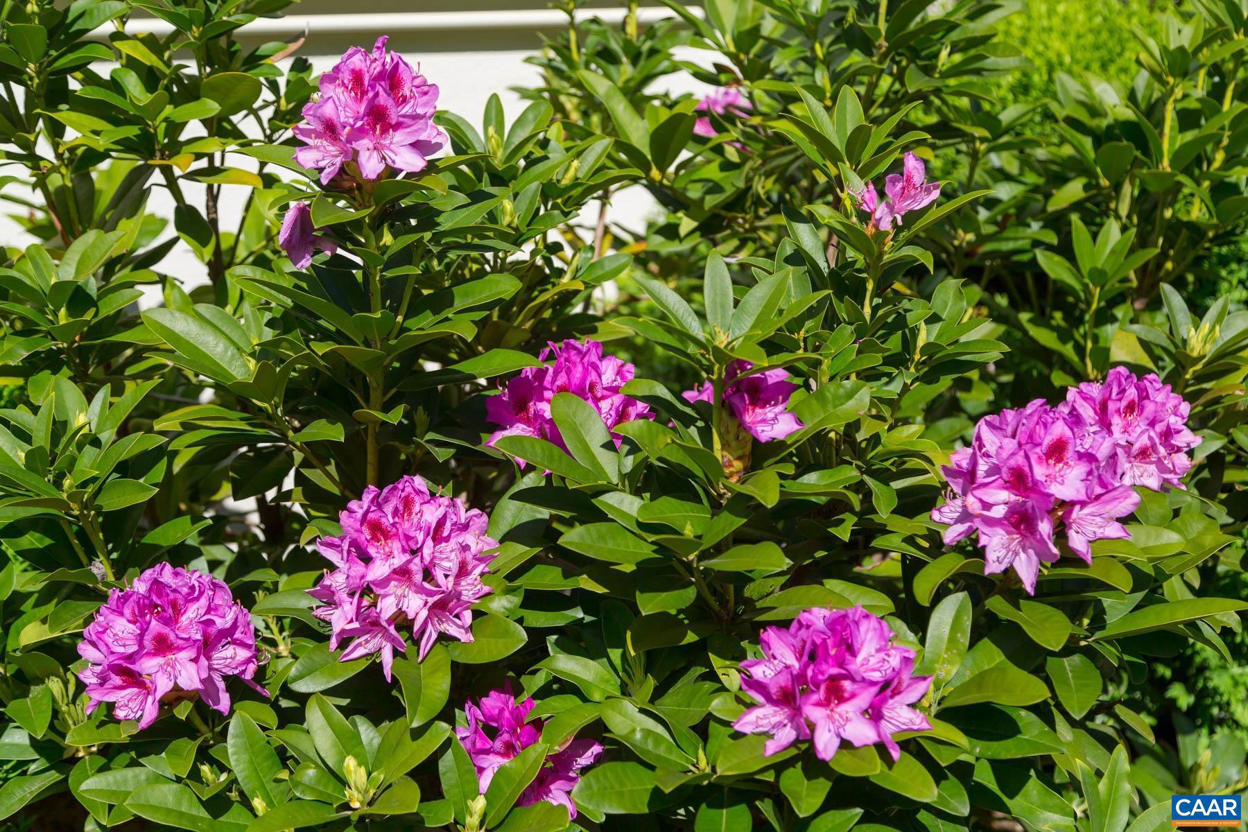 KESWICK ESTATE - Residential