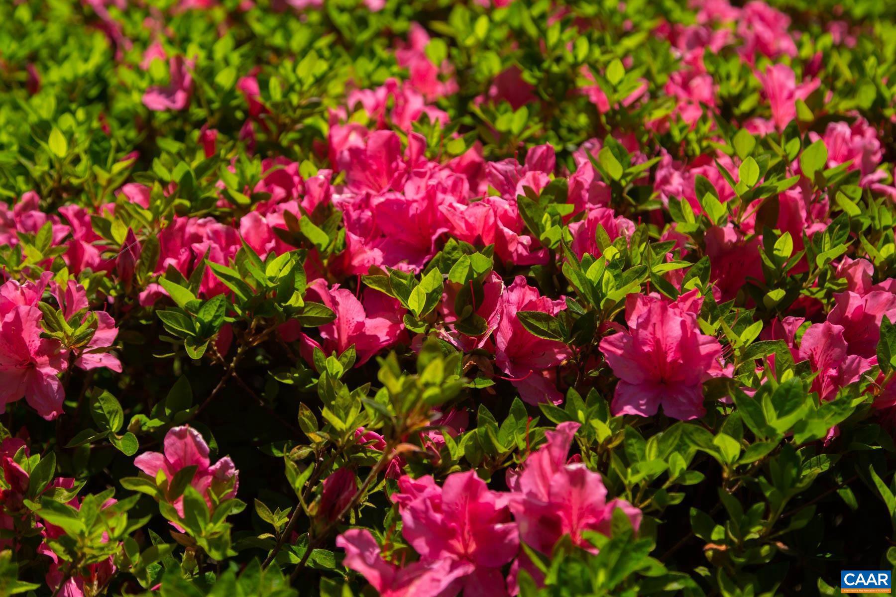 KESWICK ESTATE - Residential