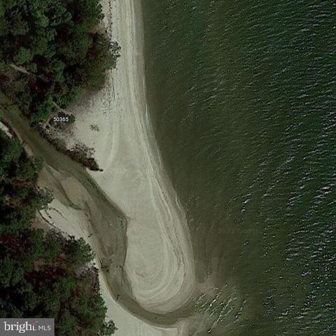 Vacant Land For Sale - 15399 Holly Drive<br/> SCOTLAND, MD 20687