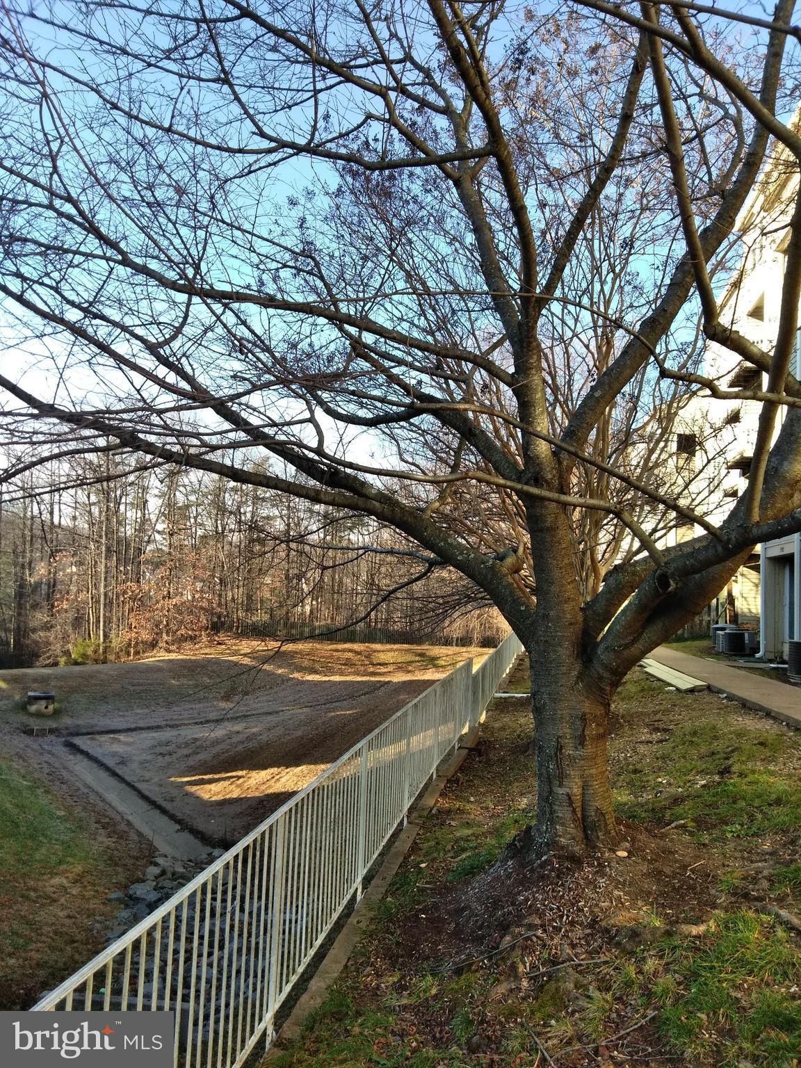 SYCAMORES AT VAN DORN - Residential Lease