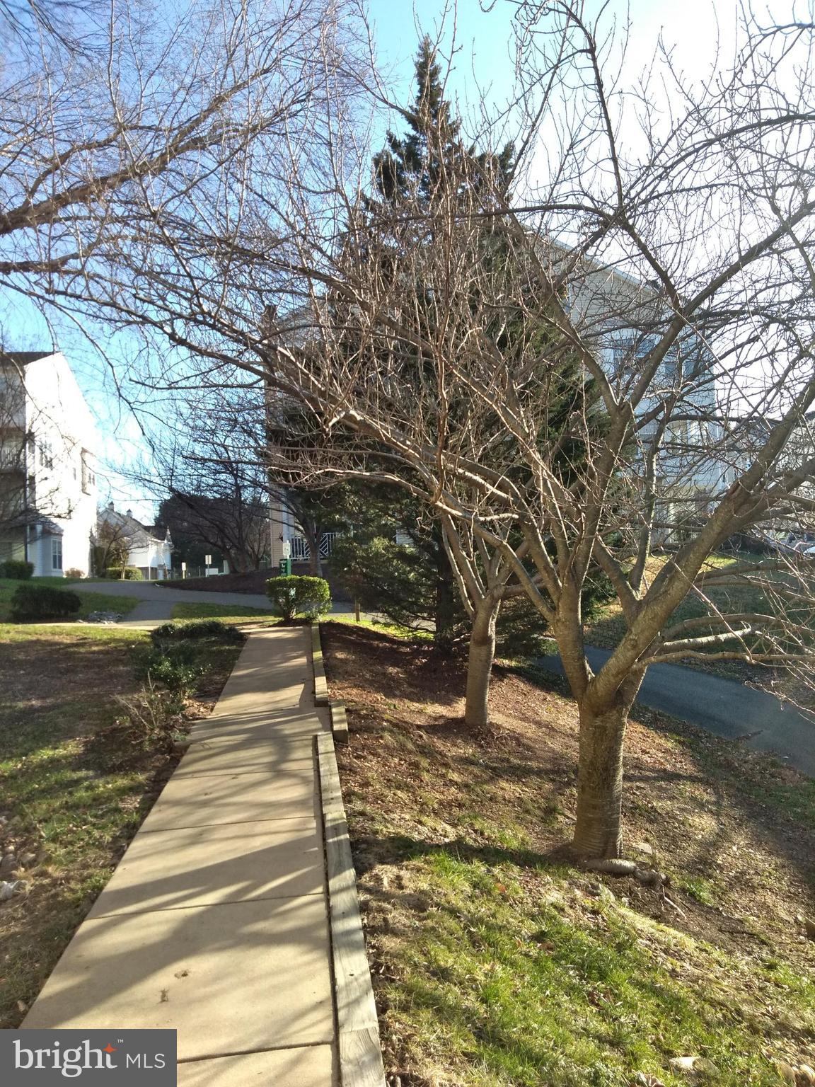 SYCAMORES AT VAN DORN - Residential Lease