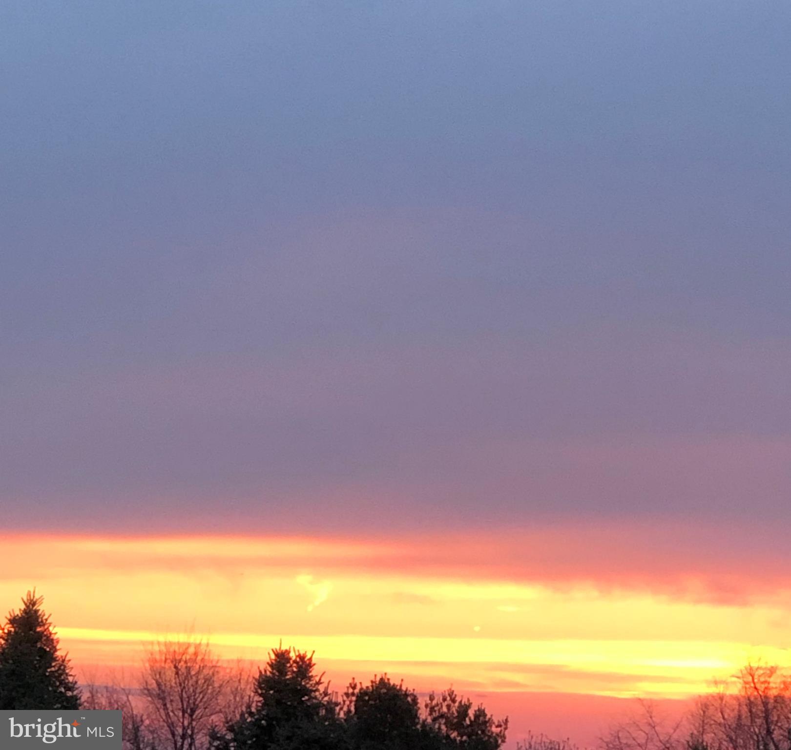 ESTATES AT LOWES - Residential