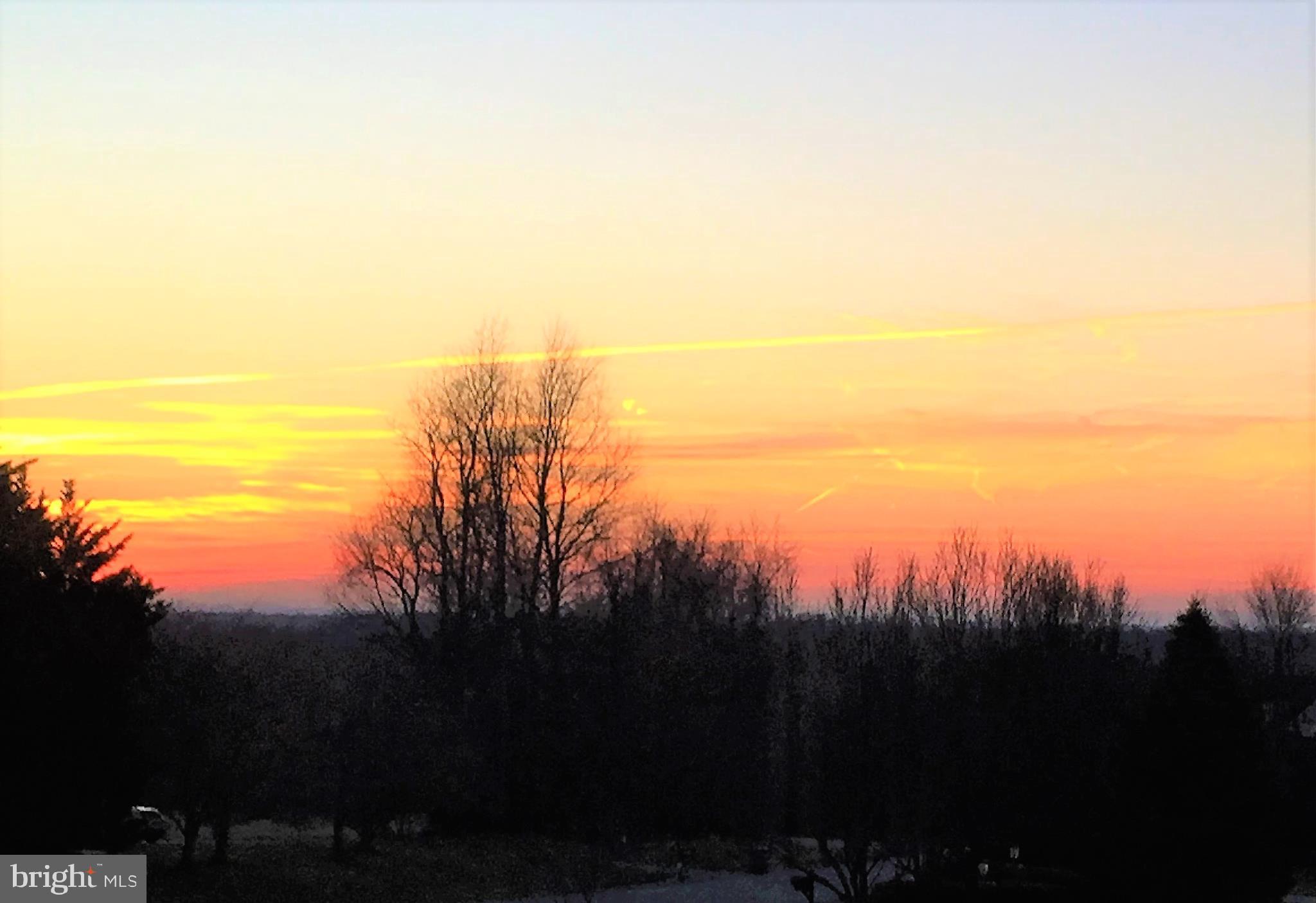 ESTATES AT LOWES - Residential