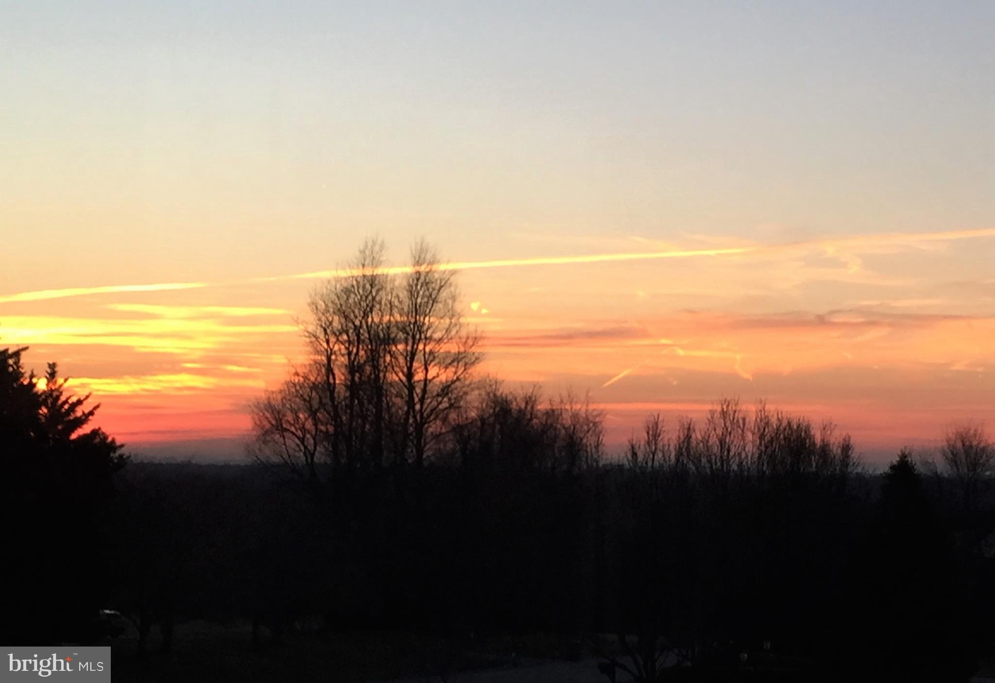 ESTATES AT LOWES - Residential