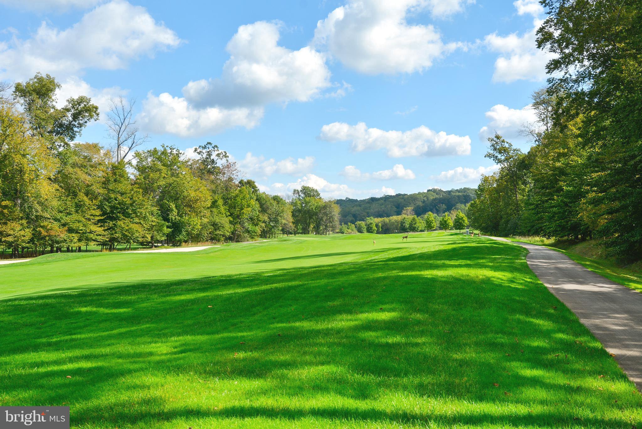 ESTATES AT LOWES - Residential