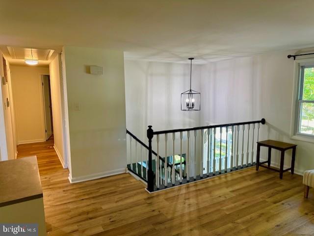 RIVERDALE FOREST - Residential Lease