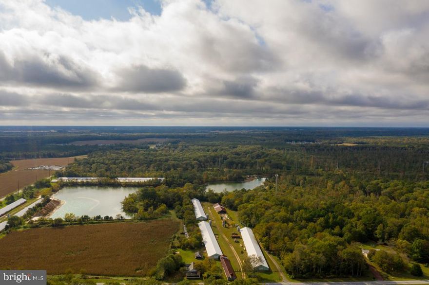 Welcome to Bar Farms, a beautiful 354-acre property being listed for the first time. This property offers many possibilities, including subdivision. Current income includes a borrow pit, farm lease, and cell phone tower lease. Additionally, a hunt club currently uses the property for whitetail hunting. Subdivision would further enhance these income streams. Alternatively, you could build your own dream house and enjoy both privacy and ample recreational space. This property currently offers several improvements, including twelve retired poultry houses as well as several barn structures and home sites. The property will be offered in seven tracts which must be sold together. Tires are to be removed at the Sellers expense per DNREC Contract. If DNREC defaults, Sellers will not be responsible for tire removal.