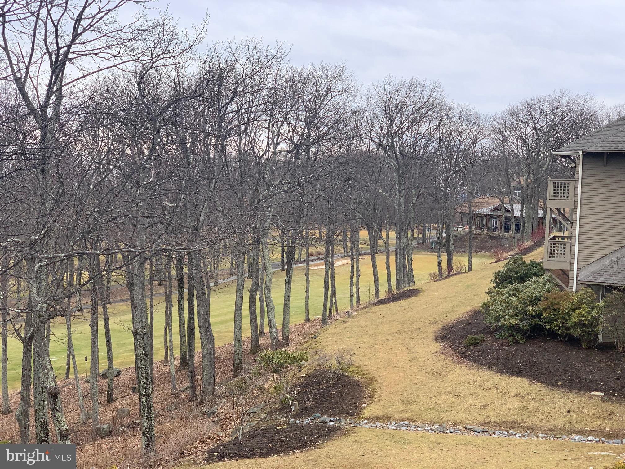 WINTERGREEN MOUNTAIN VILLAGE - Residential