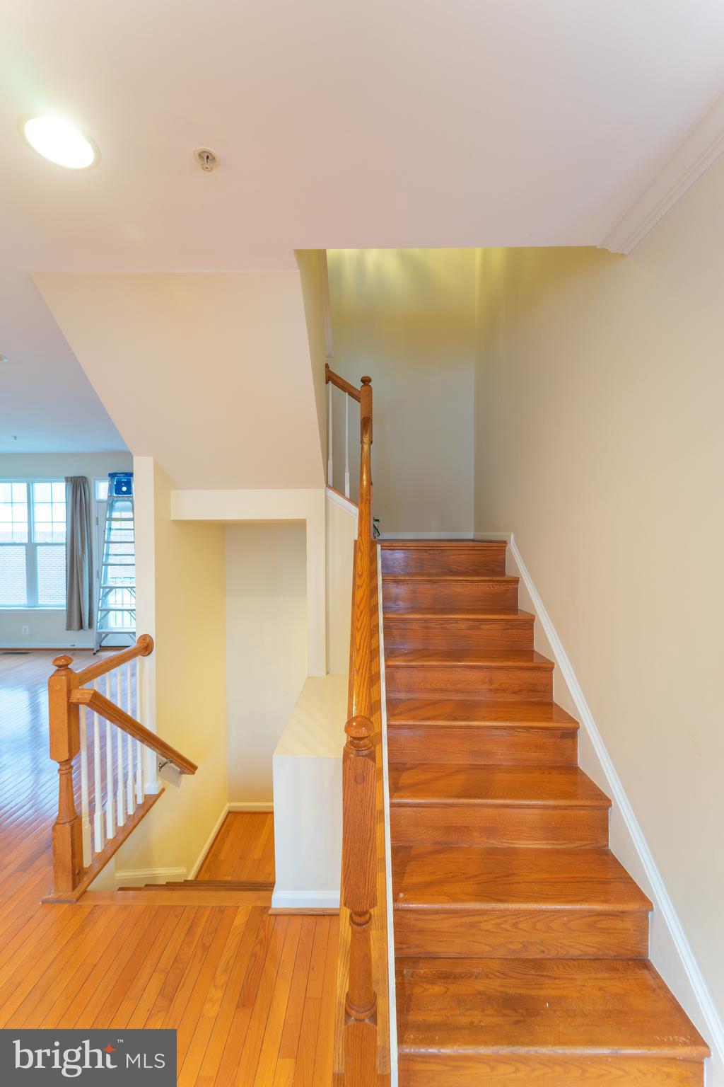 MEADOWS AT MORRIS FARM - Residential