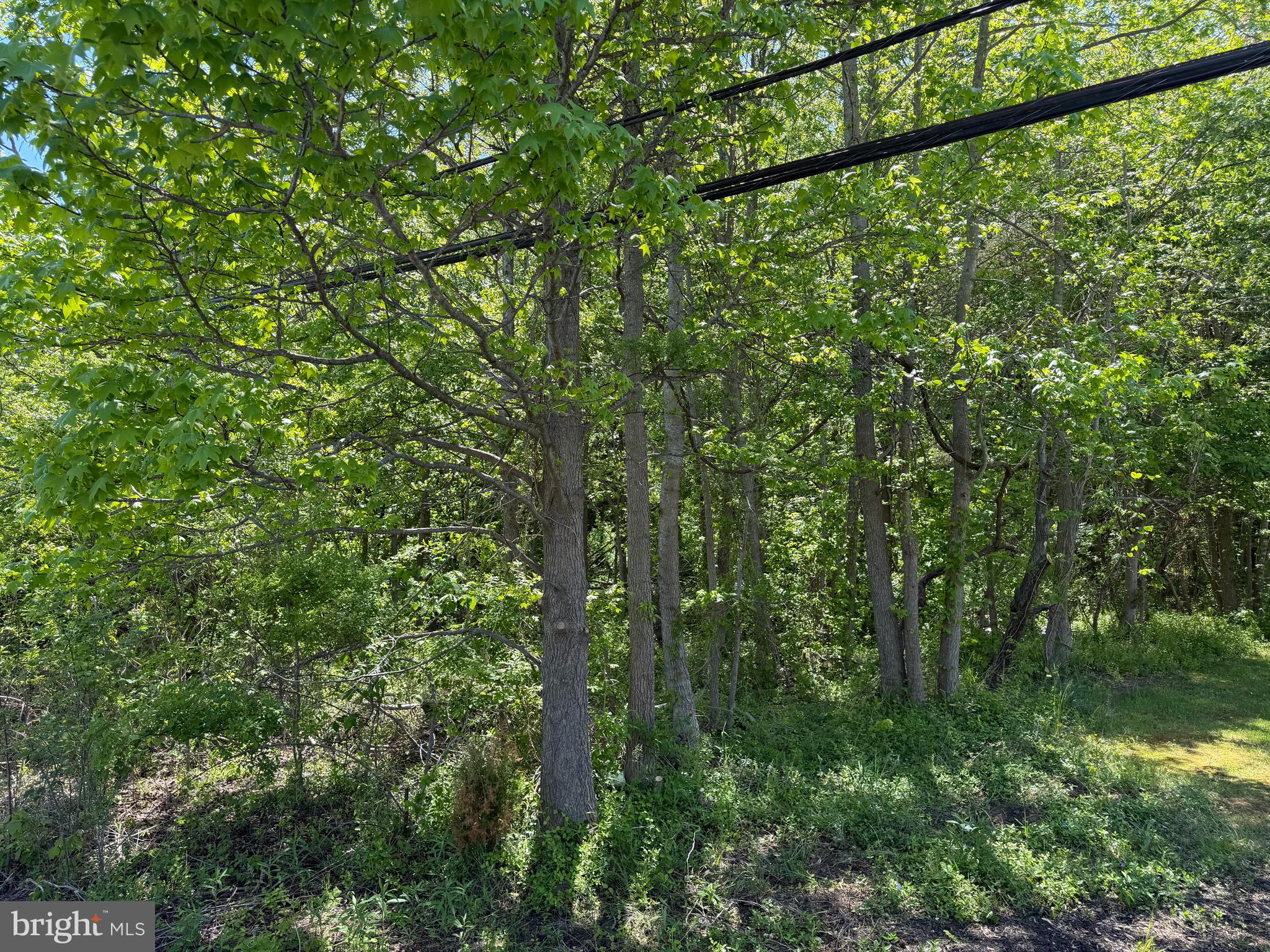 6386 SUMMIT BRIDGE ROAD