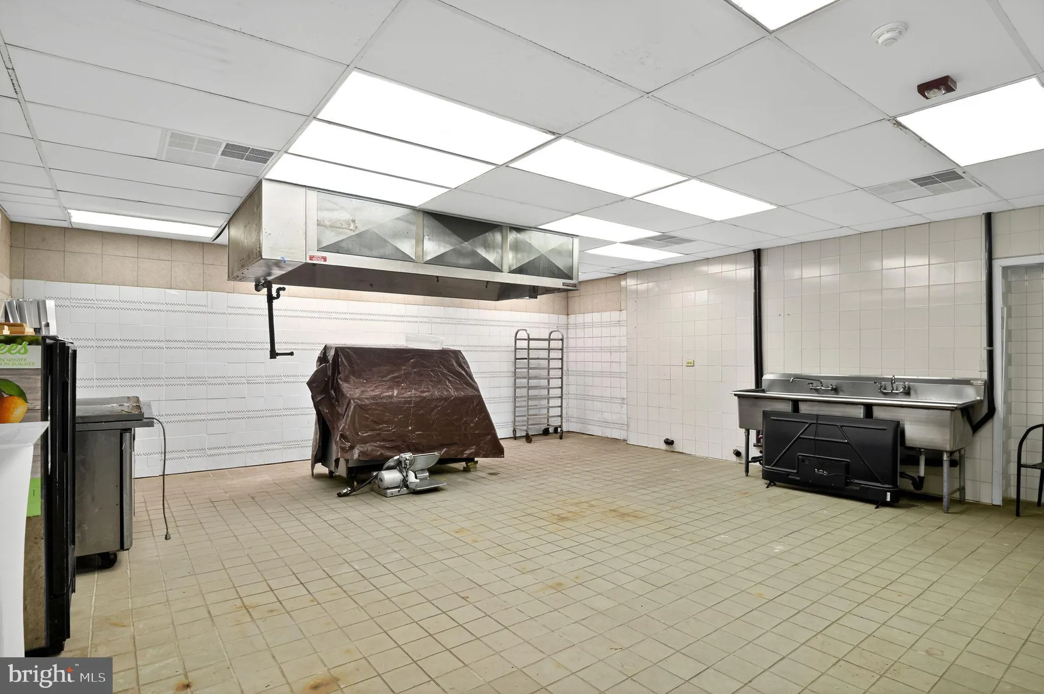 Millville, New Jersey 08332, United States, ,Residential,Active,236004