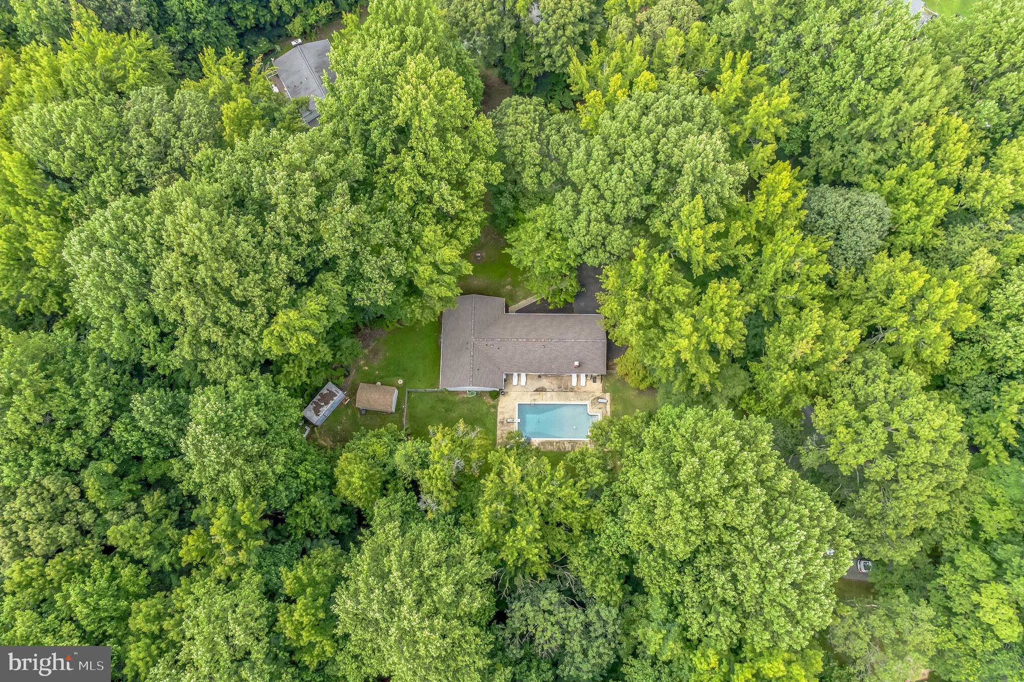 PARIS PINES - Residential