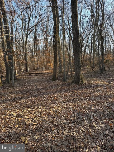 Vacant Land For Sale - 10623 Old Colchester Road<br/> LORTON, VA 22079