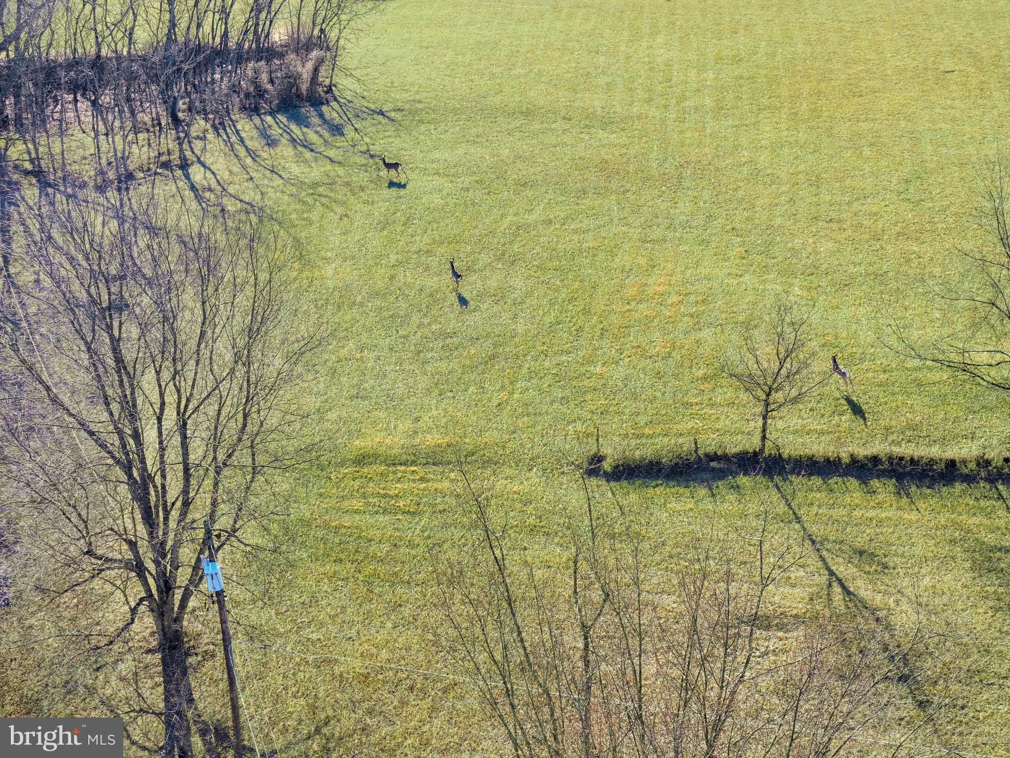 RED HAWK - Residential