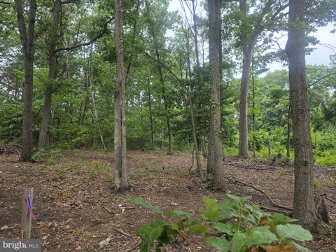 Vacant Land For Sale - 4804 66th Avenue<br/> HYATTSVILLE, MD 20784