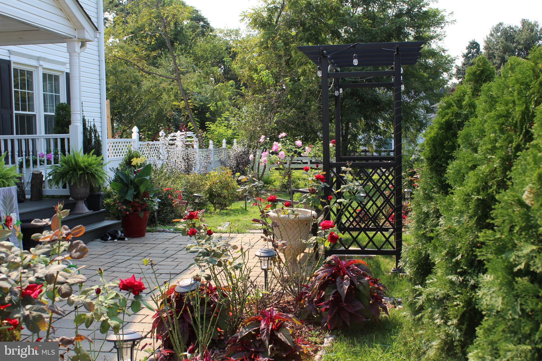 MIDDLEBURG - Residential