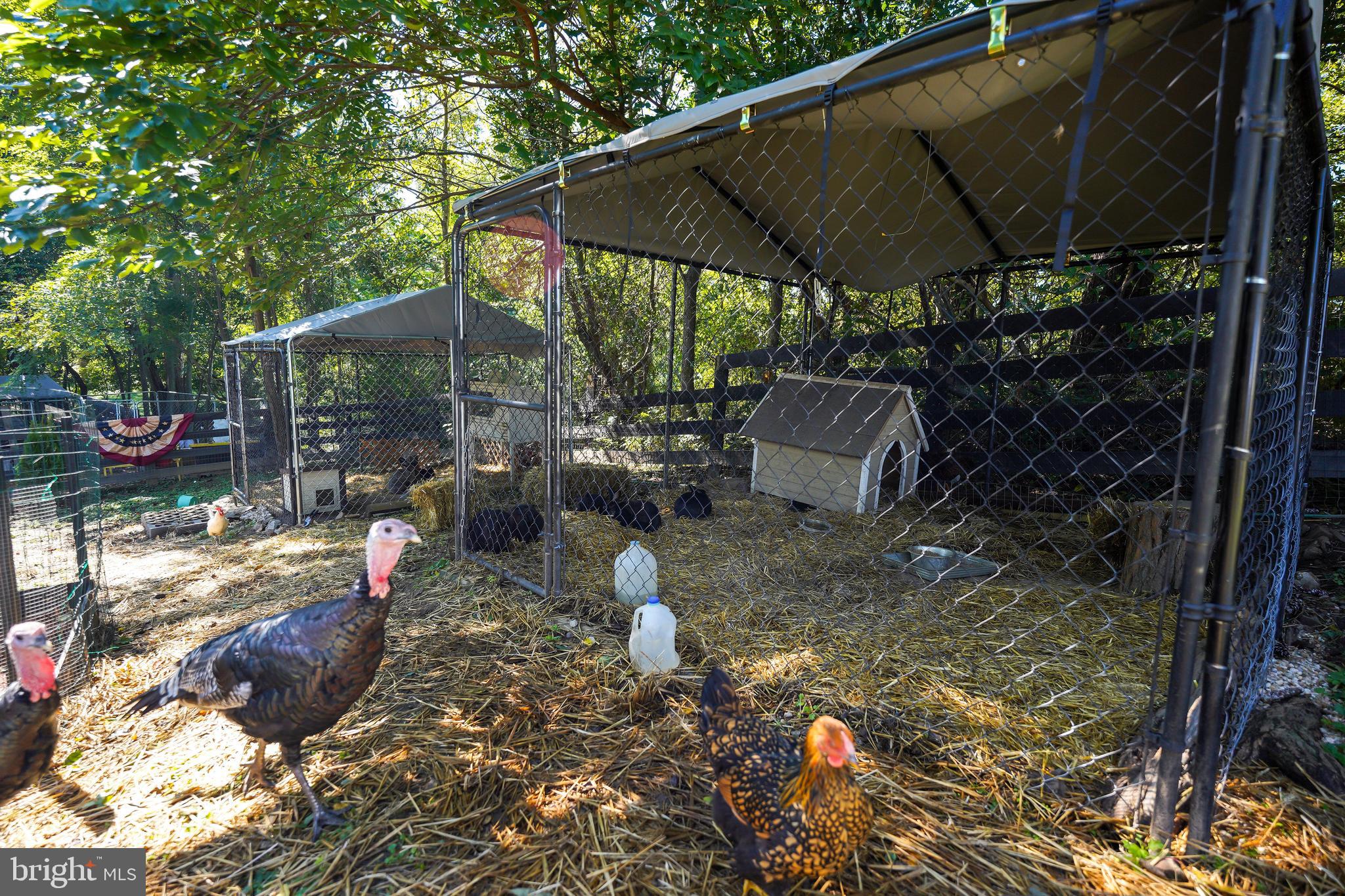 MIDDLEBURG - Residential