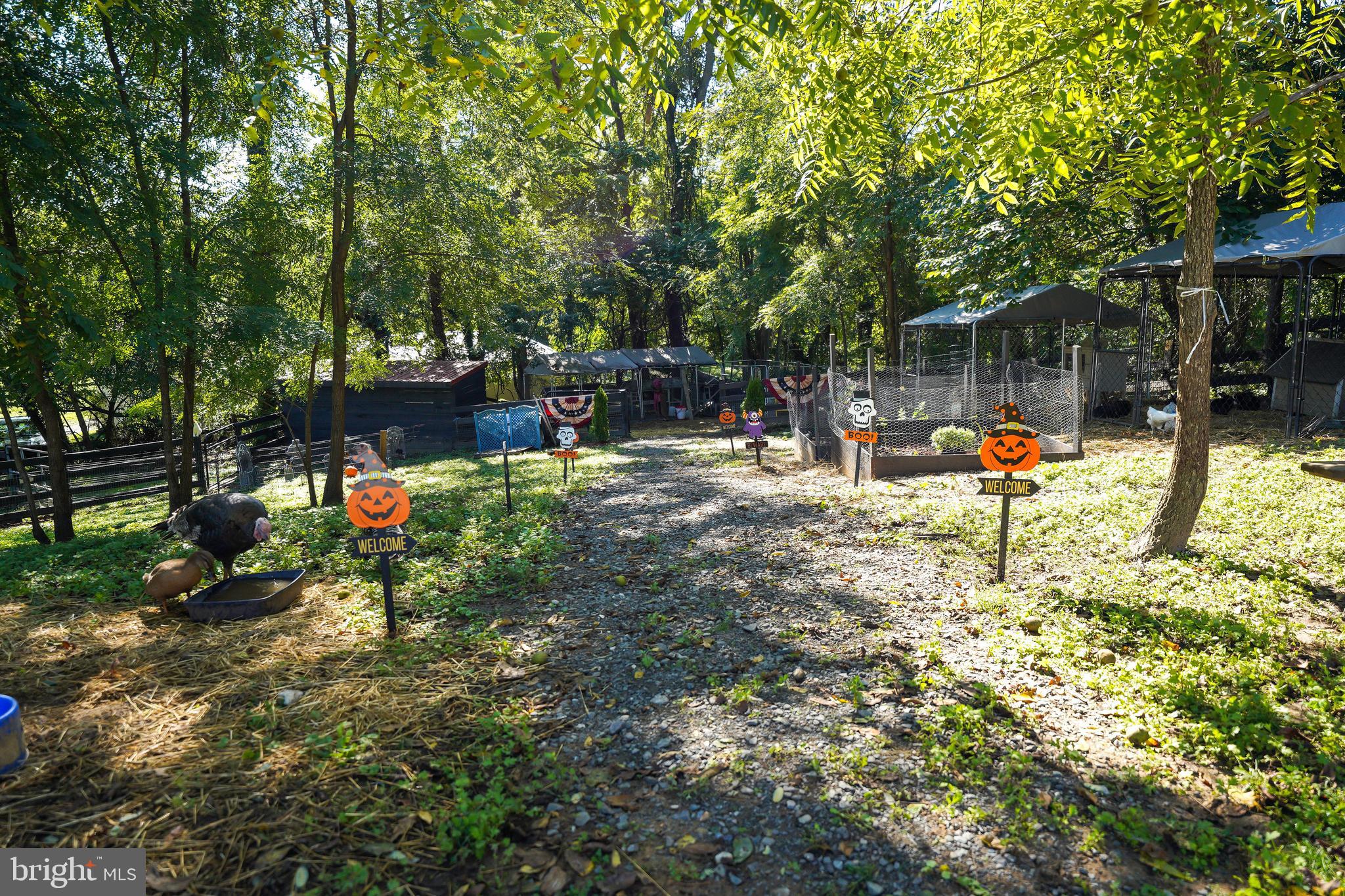 MIDDLEBURG - Residential