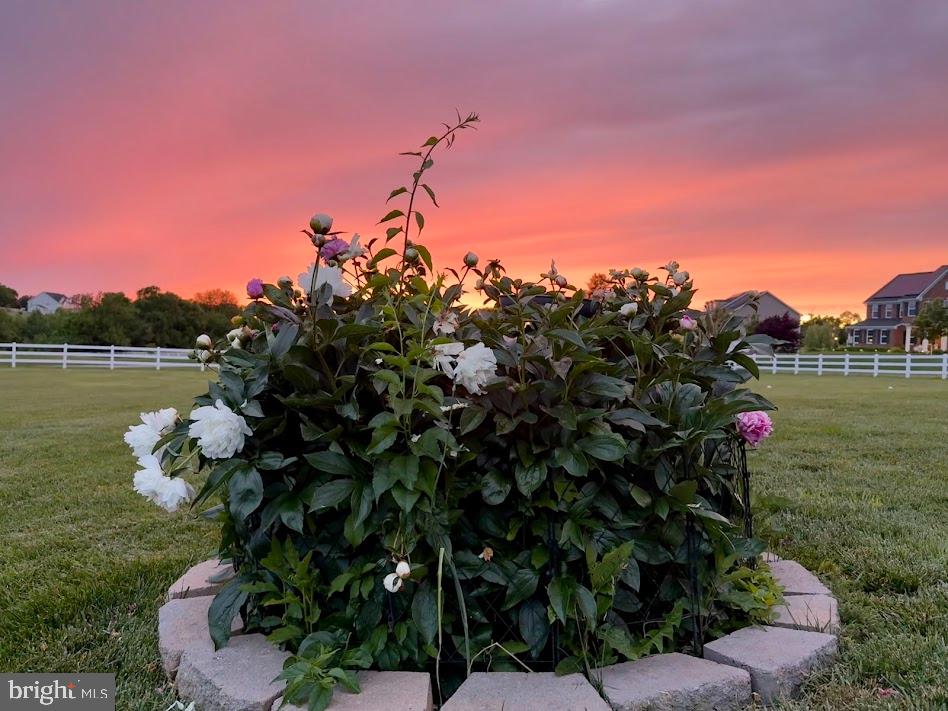 RAMSBURG ESTATES - Residential