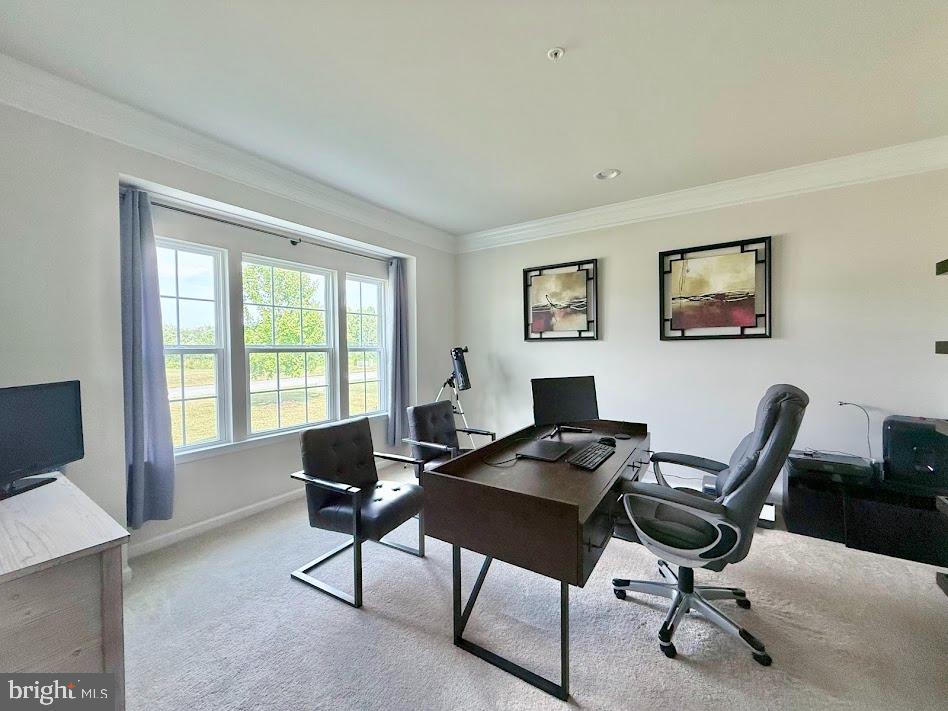 RAMSBURG ESTATES - Residential