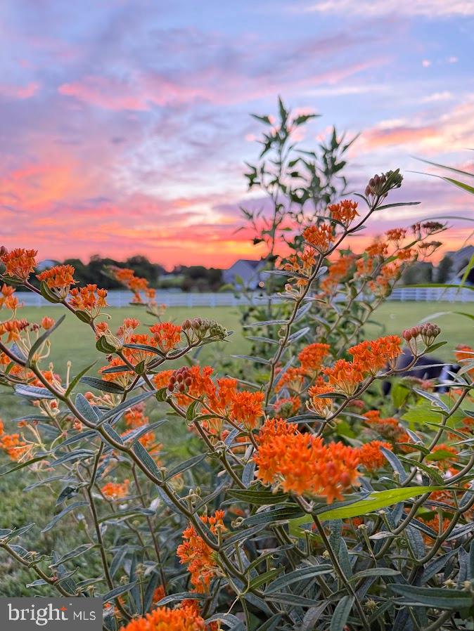 RAMSBURG ESTATES - Residential