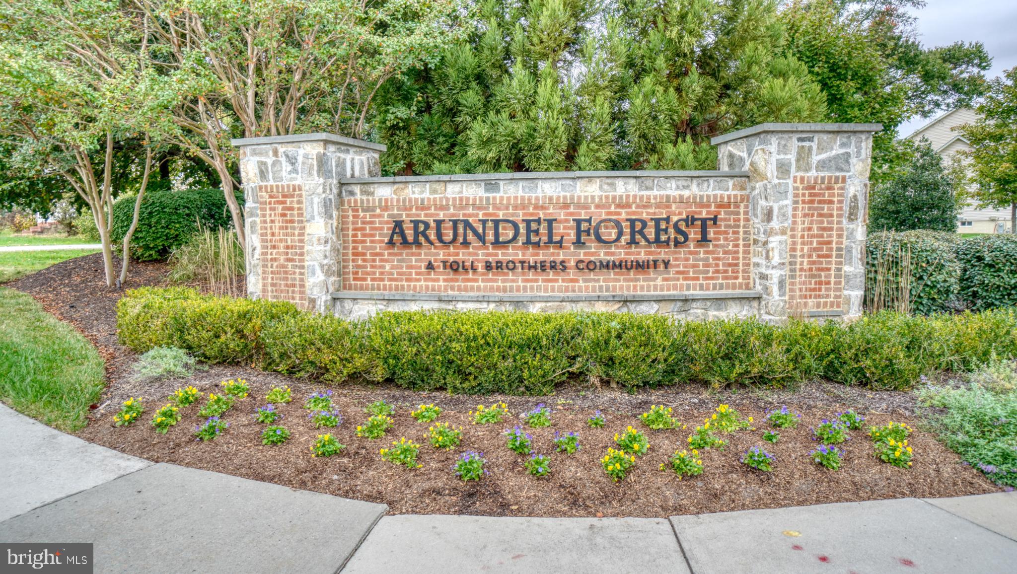 ARUNDEL FOREST - Residential