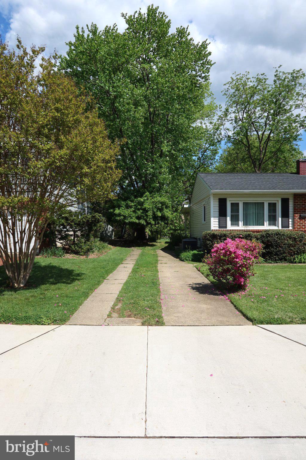 109 DEEP DALE DRIVE