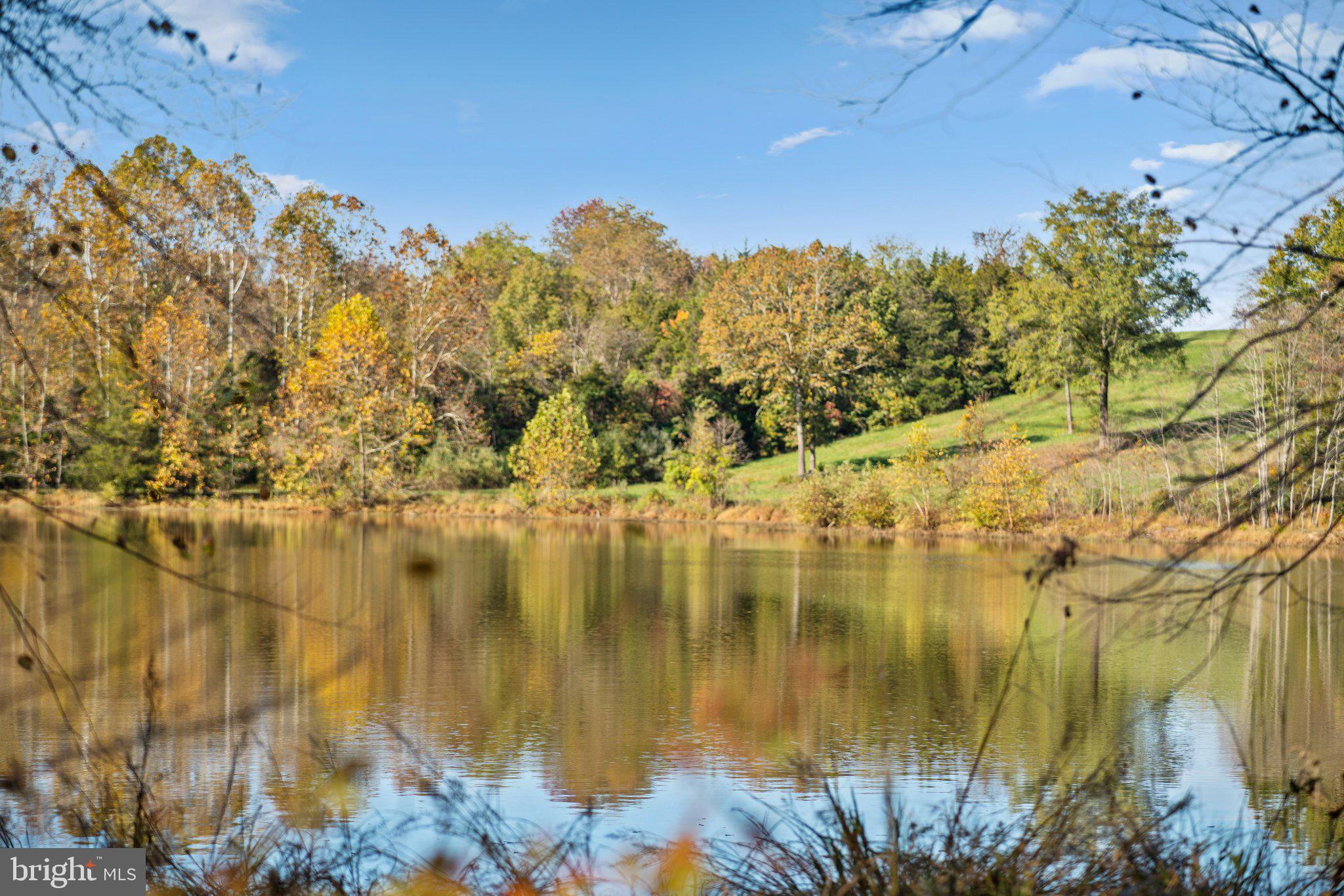 11221 BRISTERSBURG ROAD