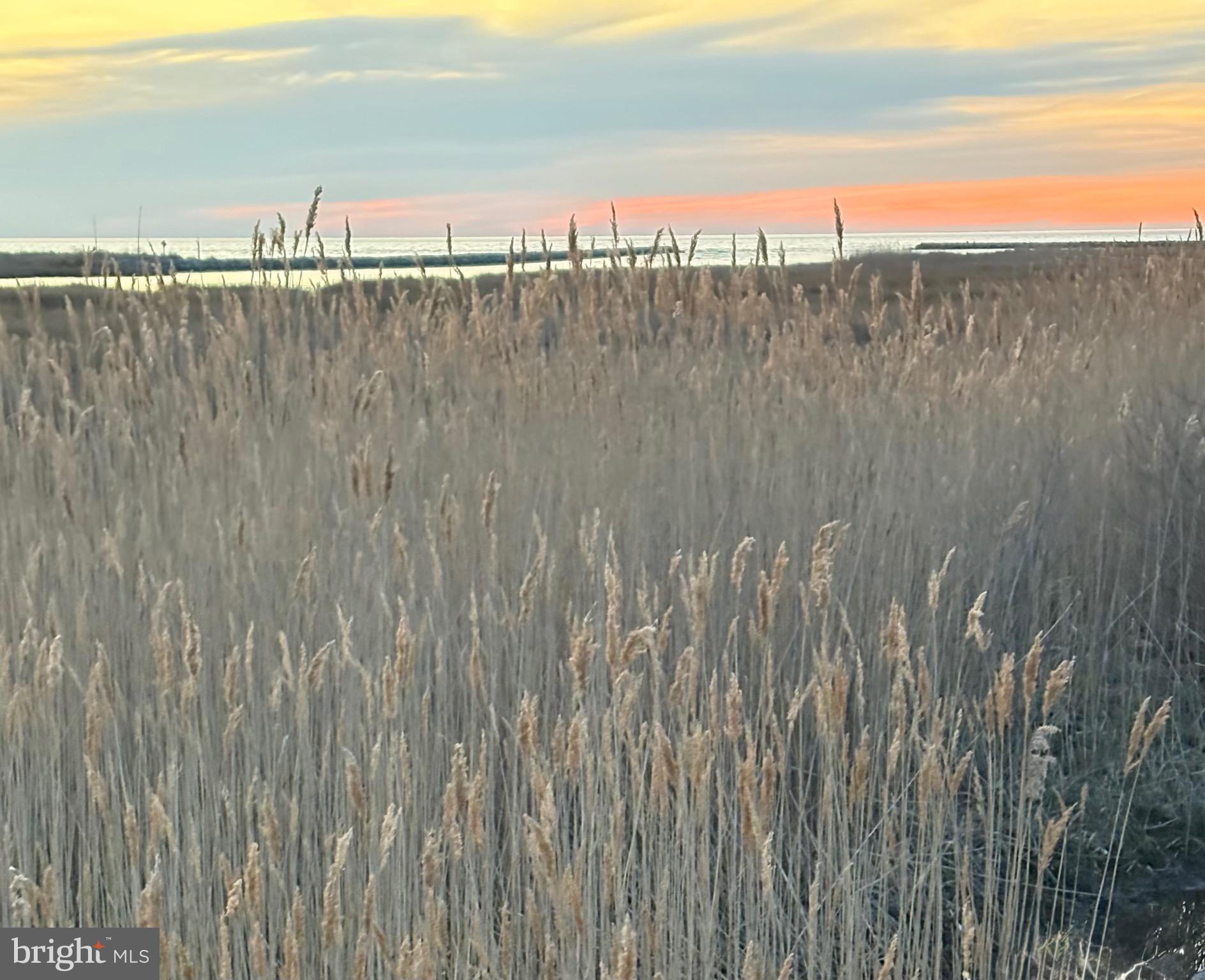 Parcel 0017 MARSH ROAD