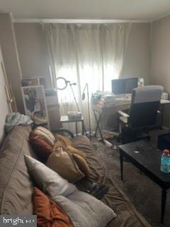 CHESTER CITY - Residential