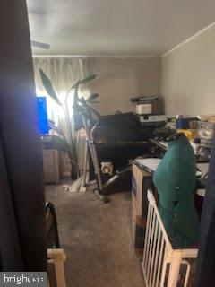 CHESTER CITY - Residential