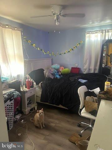 CHESTER CITY - Residential