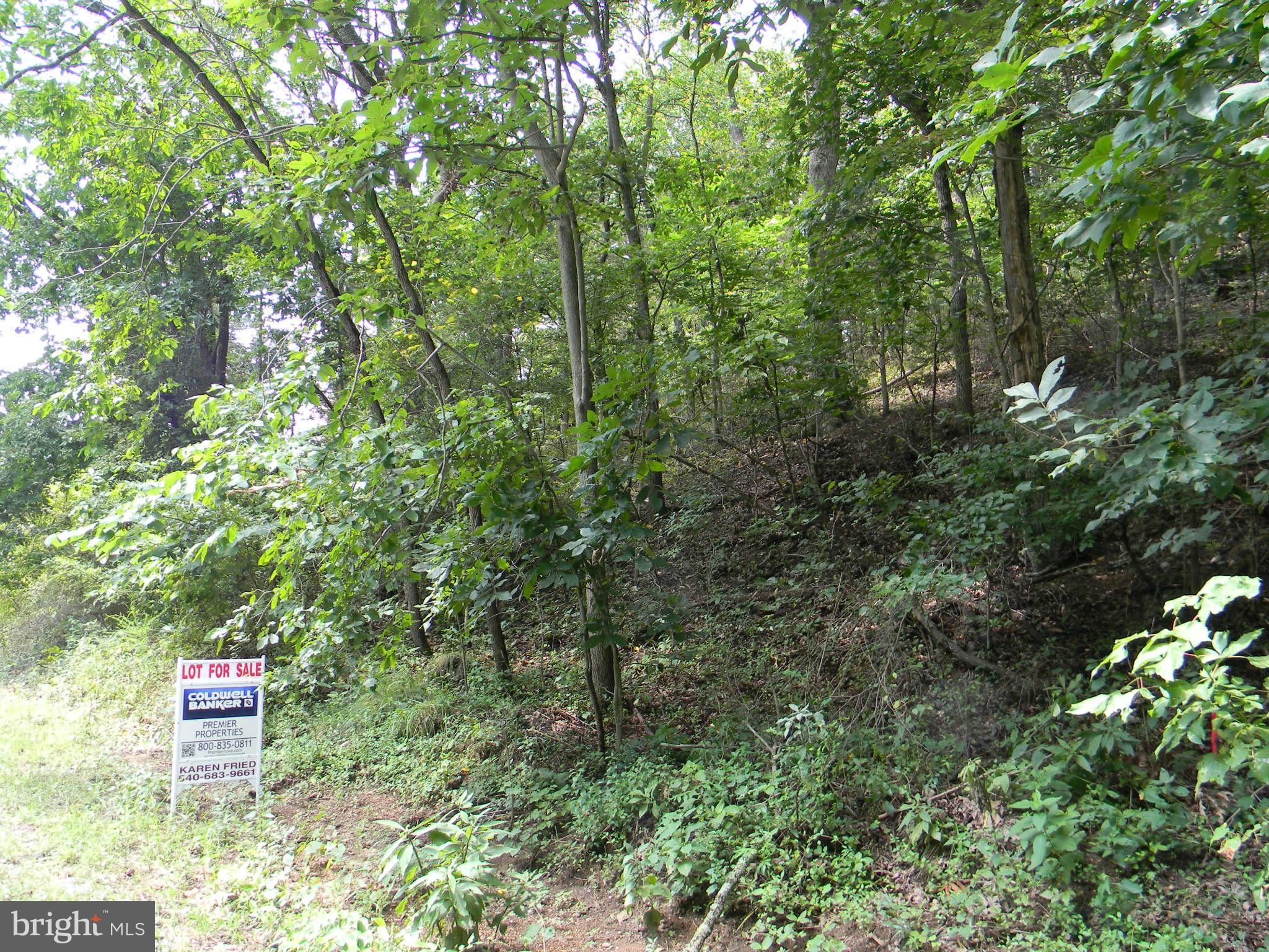 SHENANDOAH RIVER BEND - Land