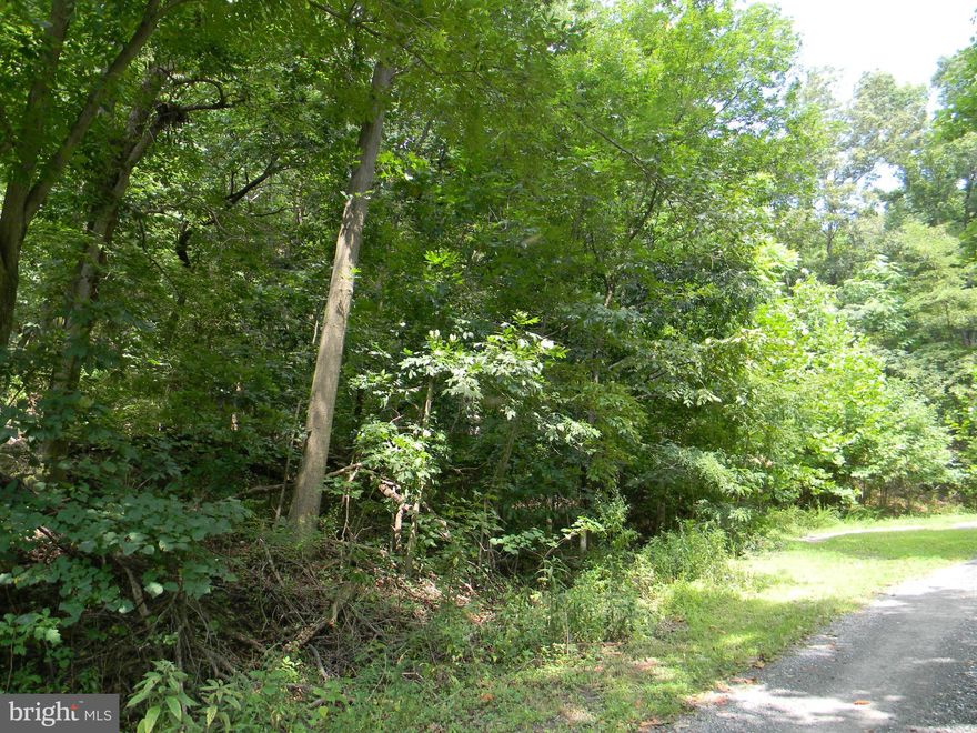 SHENANDOAH RIVER ACCESS - .73 Acre lot on cul-de-sac located in Shenandoah River Bend subdivision in Rileyville, just minutes from Luray and Front Royal, VA.  Great location to National Park & Forest, hiking, fishing, canoe & kayaking.  Close to shopping, antiquing, flea markets, historical battlefields and so many more outdoor/indoor activities in the Shenandoah Valley.