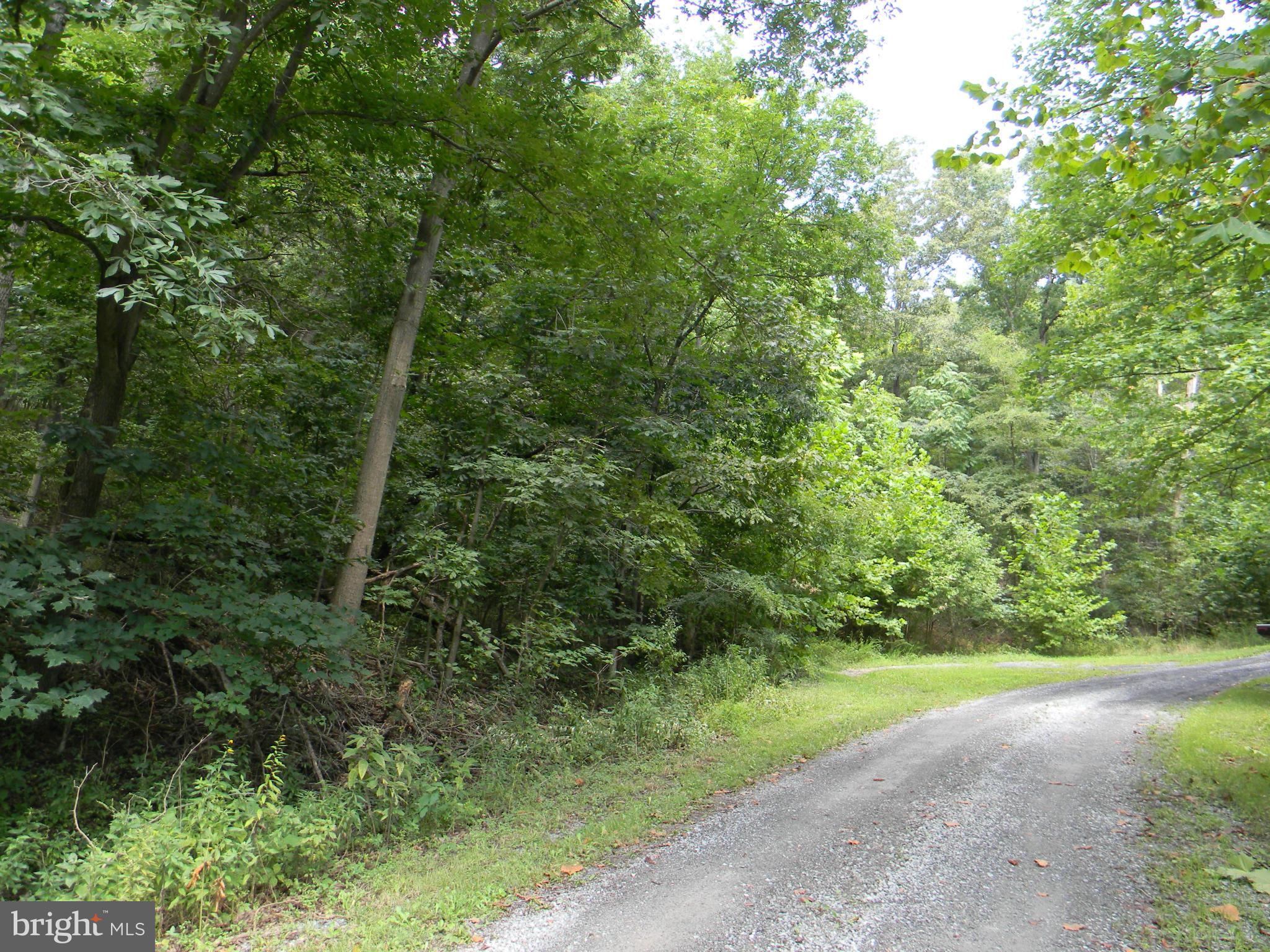 SHENANDOAH RIVER BEND - Land