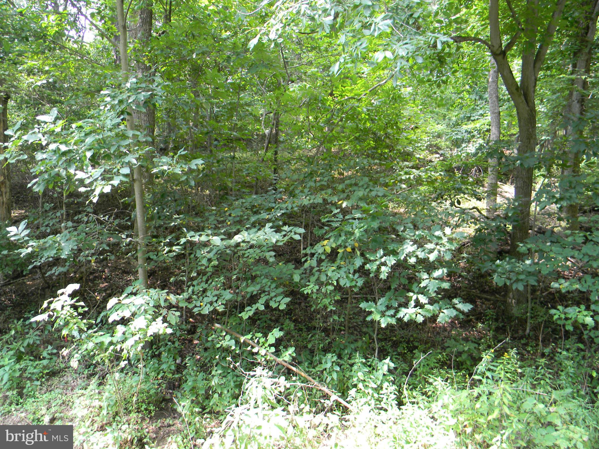 SHENANDOAH RIVER BEND - Land