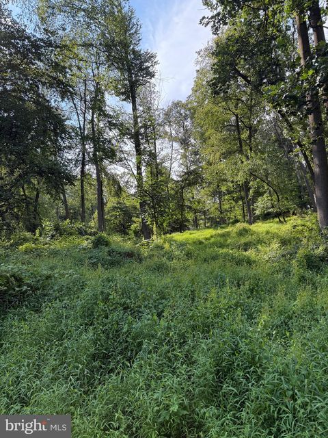 Vacant Land For Sale - Cushion Peak Road<br/> WERNERSVILLE, PA 19565