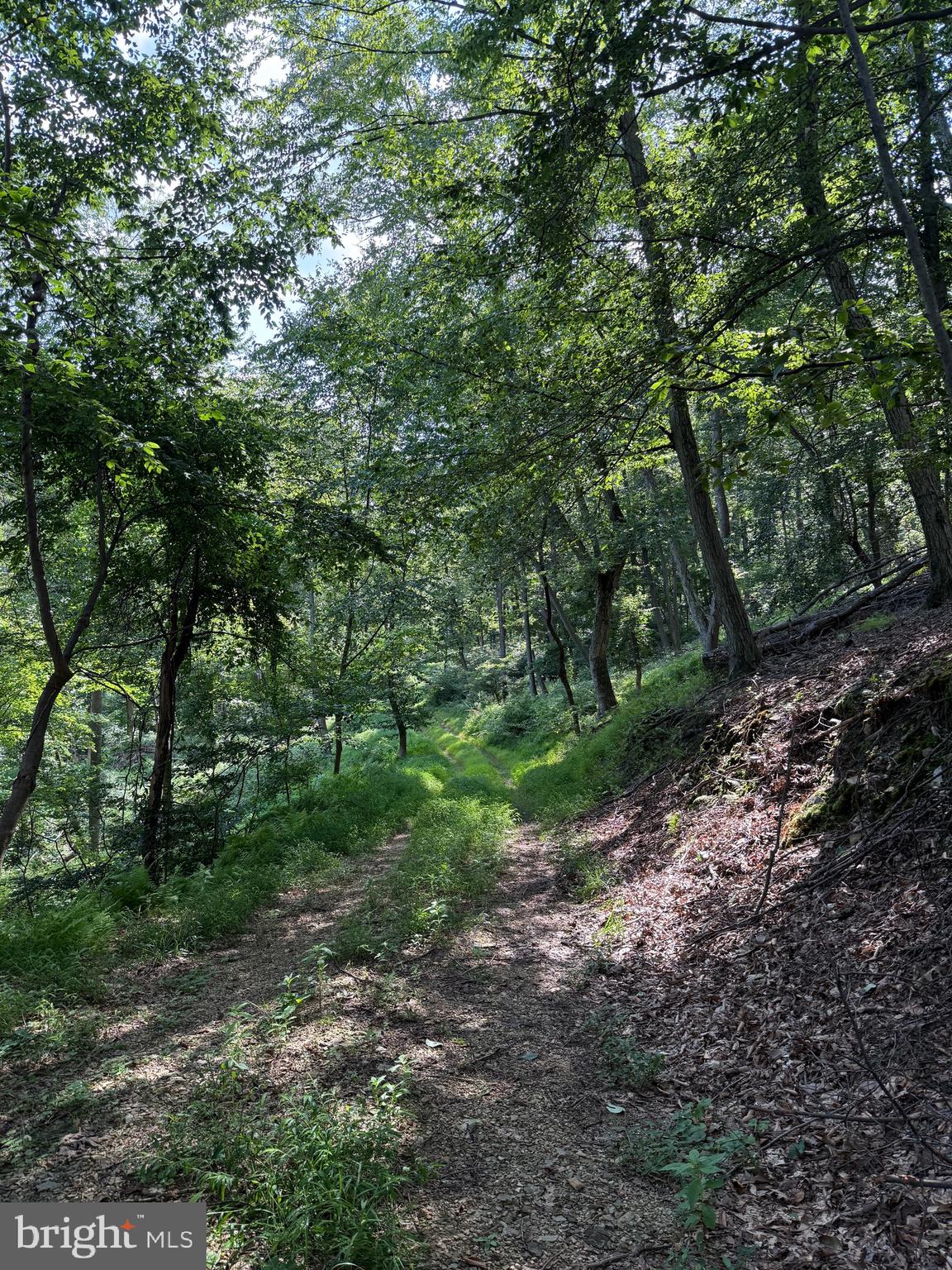 CUSHION PEAK ROAD