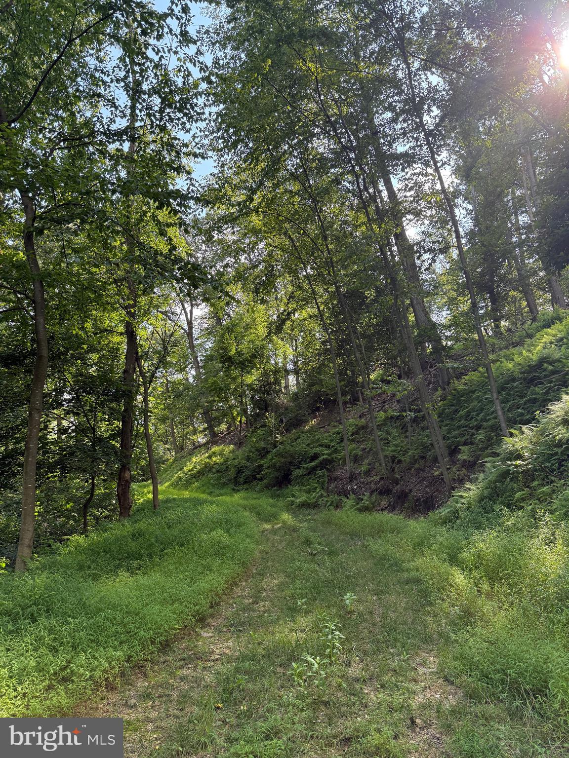 CUSHION PEAK ROAD
