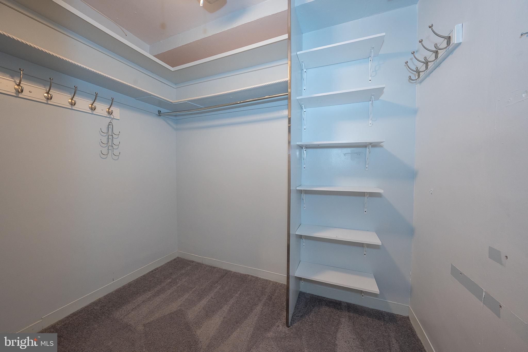 ELKINS PARK HOUSE - Residential