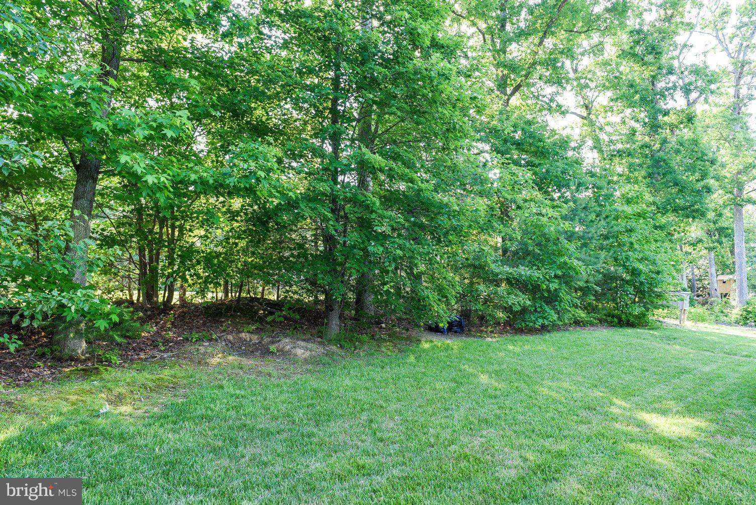 WILLOW WOODS - Residential