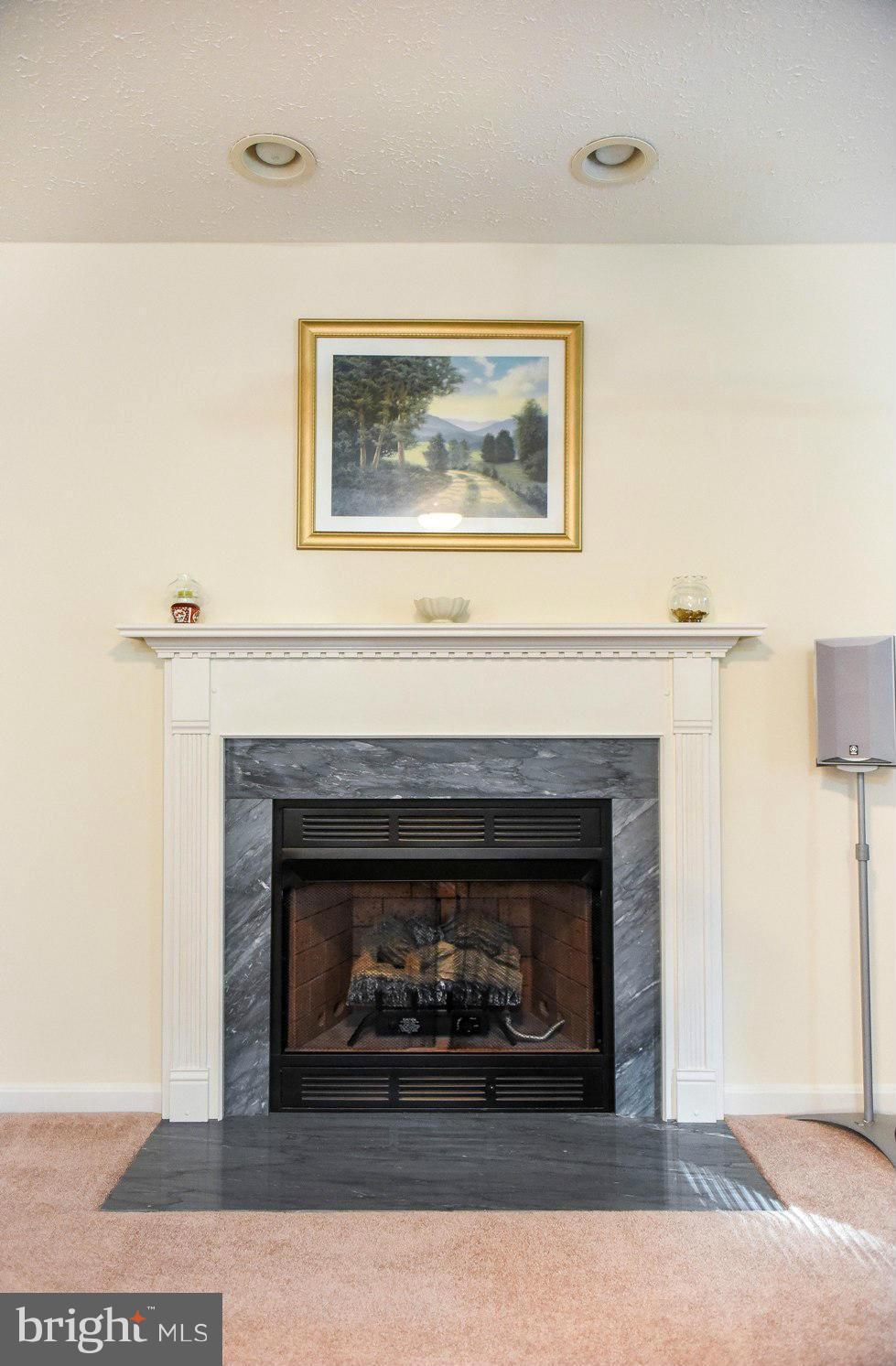 WILLOW WOODS - Residential