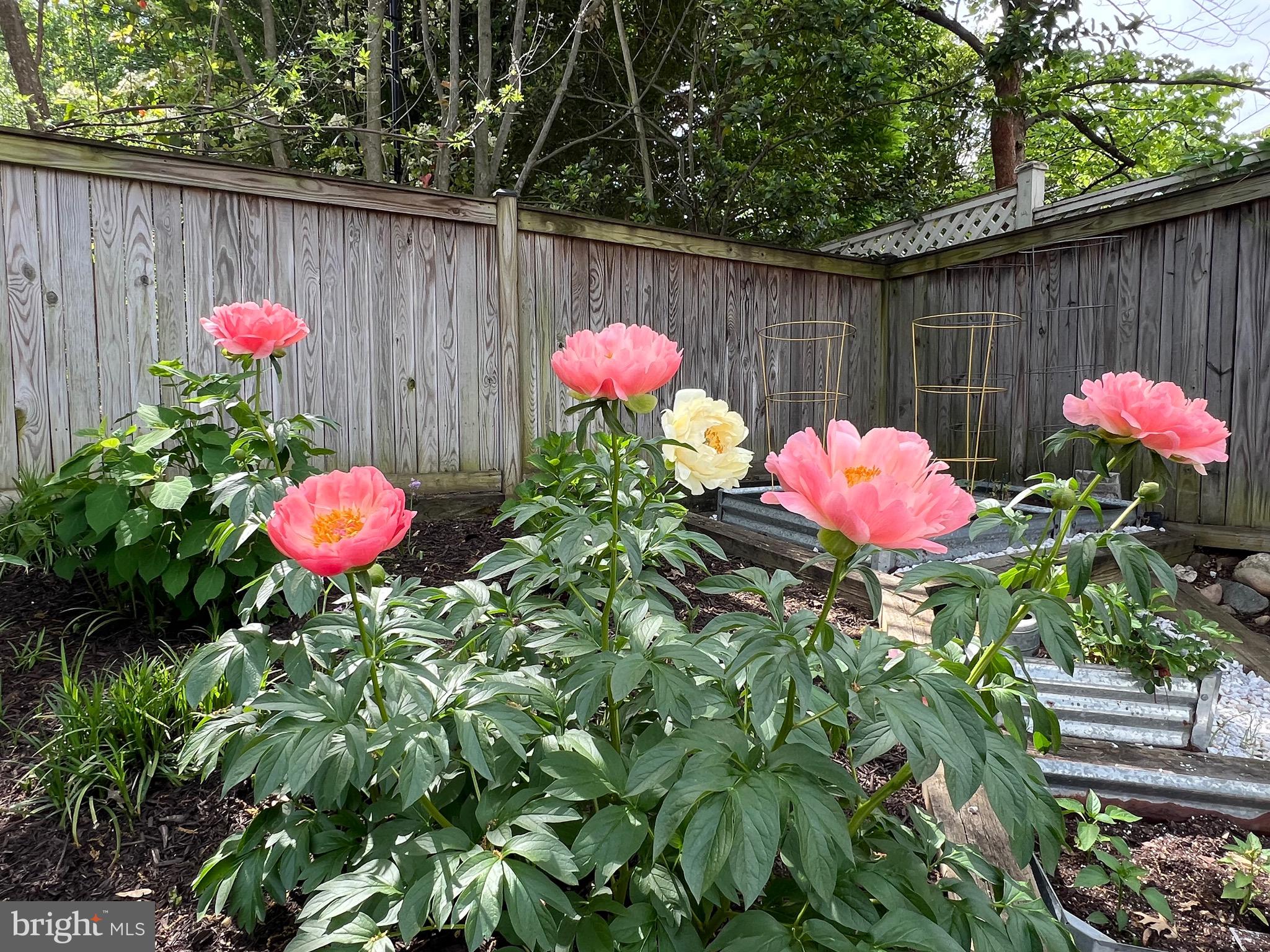 ROSEMONT - Residential