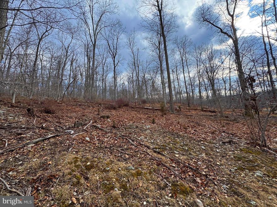 Looking for private acreage in the Hills of WV?   This 7.5 acres on Frog Hollow Road  is positioned off of Coldstream Road which runs between Slainsville and Capon Bridge and only about 1/2 hour from Winchester VA and about 2 hours from DC.    This hidden gem of a property could be a great location to camp or build your full time or part time home.  
This property borders 397.79 AC of EDWARDS RUN PUBLIC HUNTING Land.  Edwards Run WMA primarily consists of low hills with steep slopes covered in forests of various species of oaks and hickories plus approximately 17 acres (69,000 m2) of scattered clearings and brushy areas. White-tailed deer, turkey, quail, squirrel, rabbit, and grouse hunting opportunities are available in the wildlife management area. A section of Edwards Run and a 2-acre (8,100 m2) lake, Edwards Pond, provide fishing for smallmouth and largemouth bass, sunfish, bluegill, and channel catfish. Edwards Run and Pond are also stocked with trout February through March and in October. The stream on the WMA is a designated catch and release trout stream. A primitive camping area is in proximity to Edwards Pond and pit toilets and trash receptacles are provided. A nominal camping fee is charged by the WVDNR. 
So if you want to hick, hunt, fish or stay on your own property, this could be the place for you.